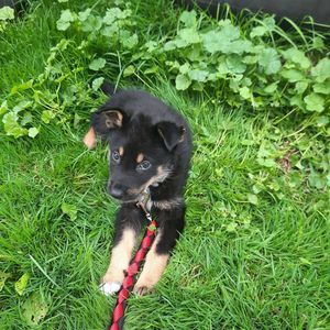 Meet your Posher, Kyle